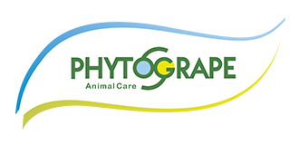 Phytogrape